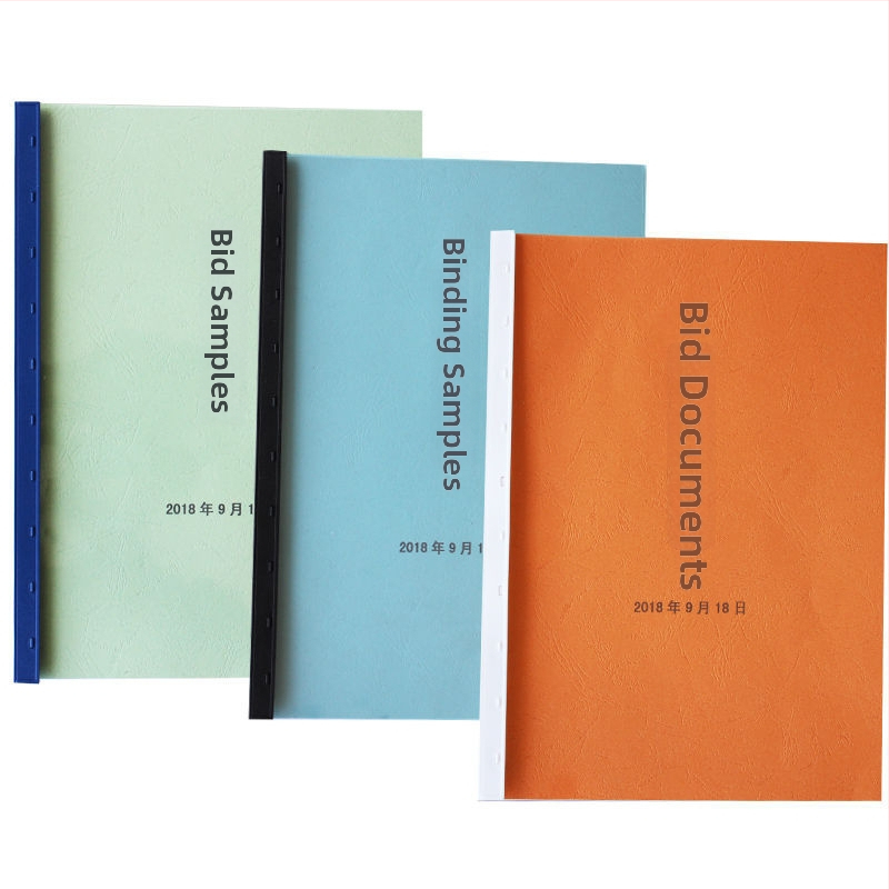 100 benzi de legare a documentelor, benzi de margine cu 10 găuri, plastic, grosime 5 mm