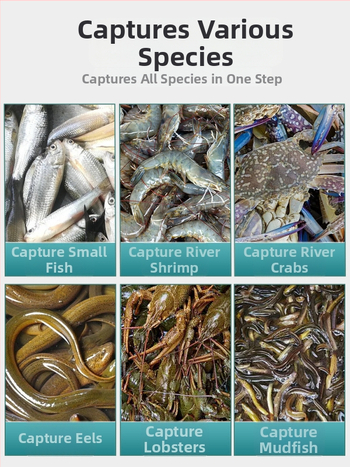 Cușcă de pescuit pentru pește, creveți și altele — Brand Giant finned king; Origine: China; Material: Altul