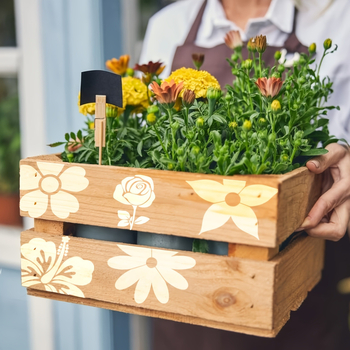 Set de 25 șabloane PET pentru pictură cu flori: floarea-soarelui și bujor, șabloane de decupare