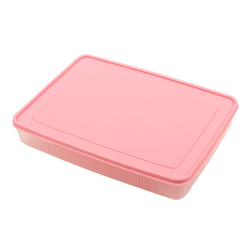 RSNN Cutie proaspătă pentru depozitarea ouălor - din plastic, etanșă, pentru frigider