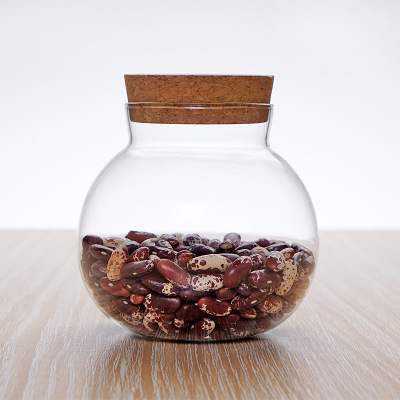 Borcan din sticlă pentru depozitare, cu dop din plută - etanș la umezeală, 501-800 ml, compatibil cu microunde, formă neregulată