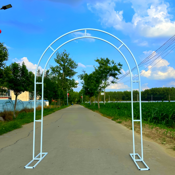 Arc de nuntă din fier forjat, cu două curbe, decor exterior pentru scenă și suport pentru flori de mătase