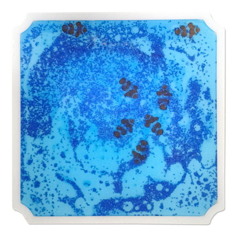 HF Plăciță puzzle pentru podea cu temă viața marină — din plastic, puzzle plat pentru copii 4–6 ani