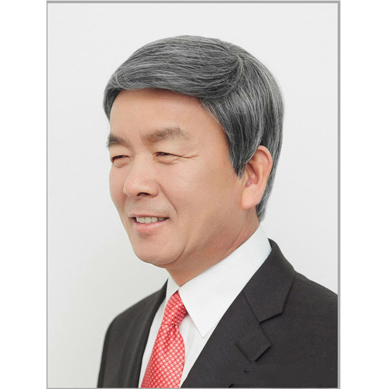 Perucă pentru bărbați, păr scurt drept, fibră rezistentă la temperatură, breton înclinat, model D80, Namo Beauty