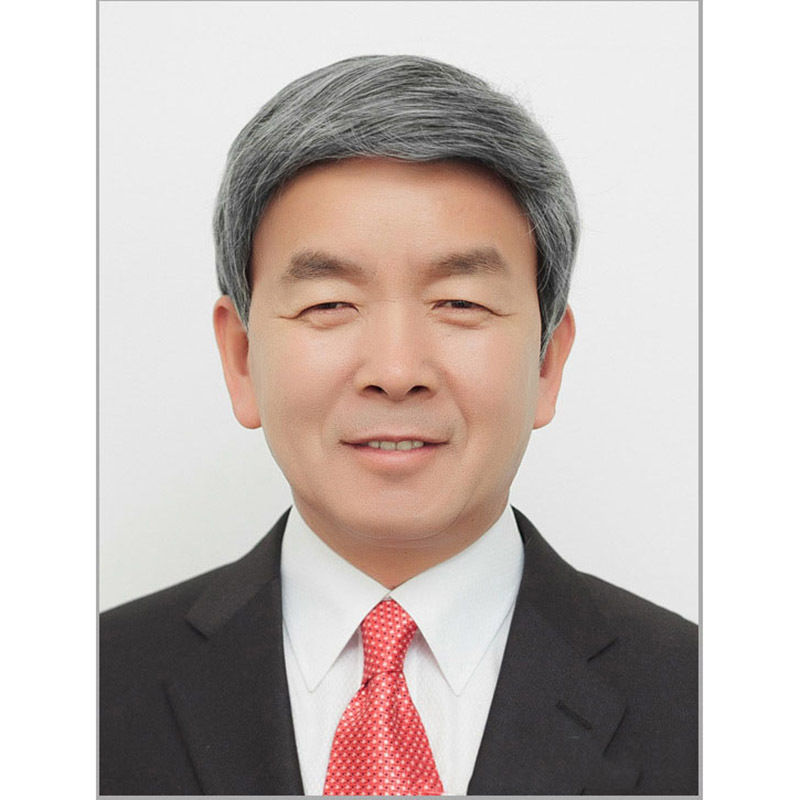 Perucă pentru bărbați, păr scurt drept, fibră rezistentă la temperatură, breton înclinat, model D80, Namo Beauty