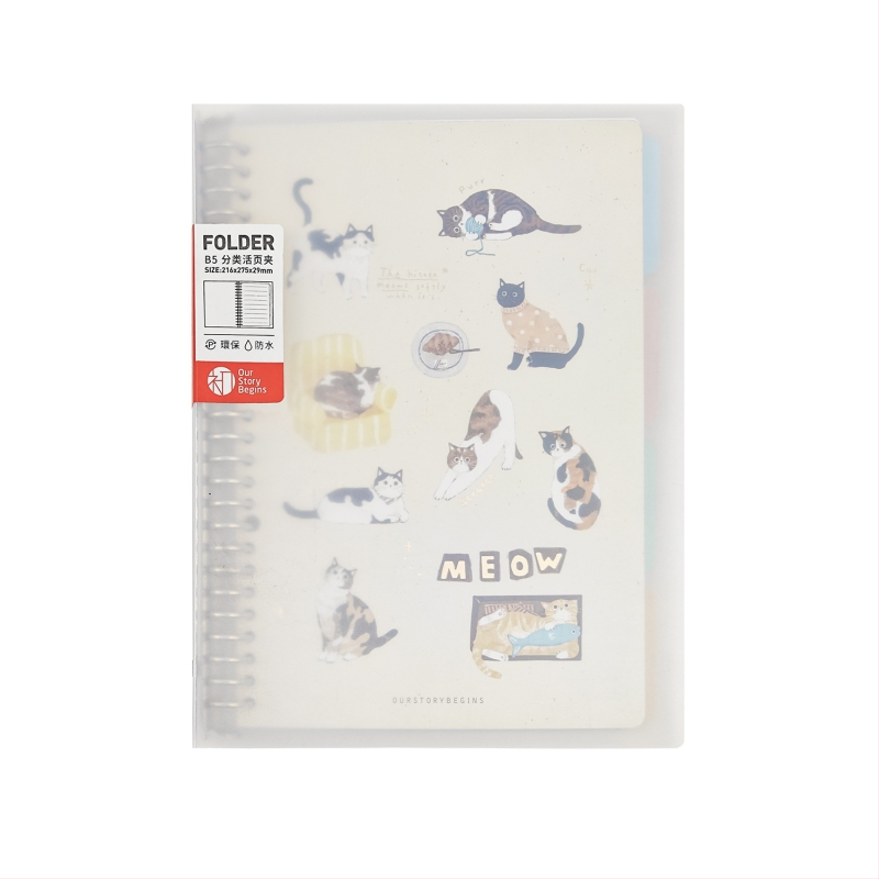 Mapă B5 cu pagini interschimbabile și nucleu schimbabil, 26 găuri, 60 file, hârtie cu acoperire dublă pentru paginile interioare, model B5, cod articol PHYB5060-11822D