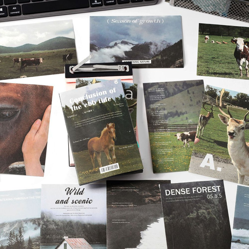 Infeel.me No Goodbyes serija — Papir s literarnim retro pozadinom dnevnika, dekorativne bilješke. Oblik: papir blok; Težina: 52 g; Na tržište: 2025-04-23; Zalijepiti: Ne; IP odobrenje: Ne.