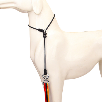 Λιτό λουρί εκπαίδευσης σκύλων – σταθερού μήκους πολυεστέρα, λουρί K-9, μάρκα Thousand Friends