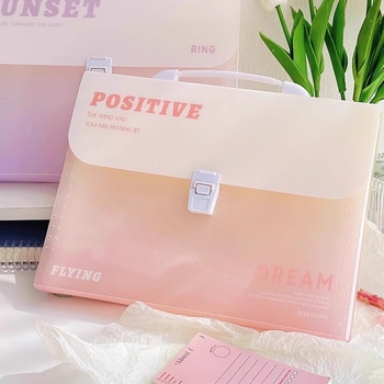 Zi Yi 12 διαμερίσματα PP φάκελος εγγράφων, κάθετος σχεδιασμός ακορντεόν, μοντέλο ZL30372