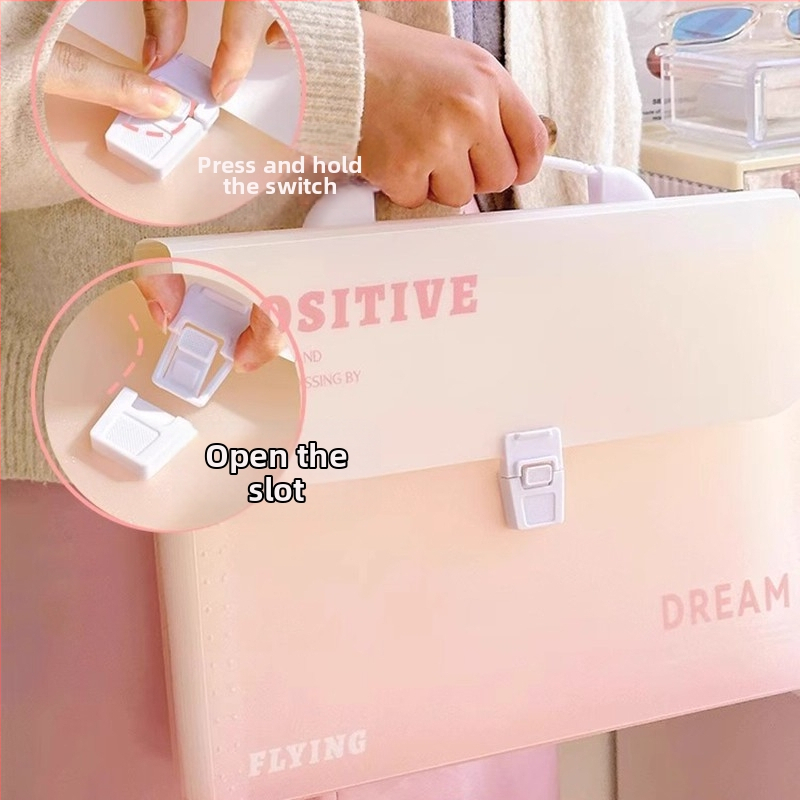 Zi Yi 12 priehradkami PP materiálu, zvislý akordeónový dizajn, model ZL30372