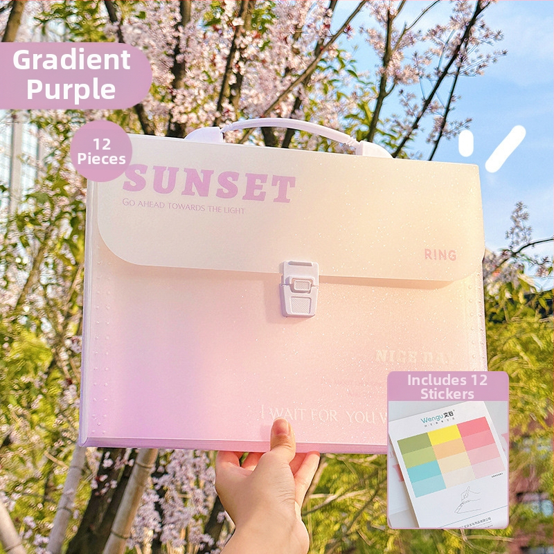 Zi Yi 12 priehradkami PP materiálu, zvislý akordeónový dizajn, model ZL30372