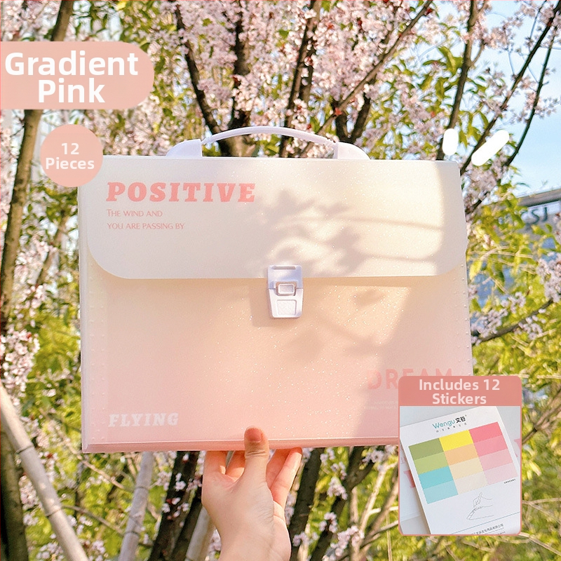 Zi Yi 12 priehradkami PP materiálu, zvislý akordeónový dizajn, model ZL30372