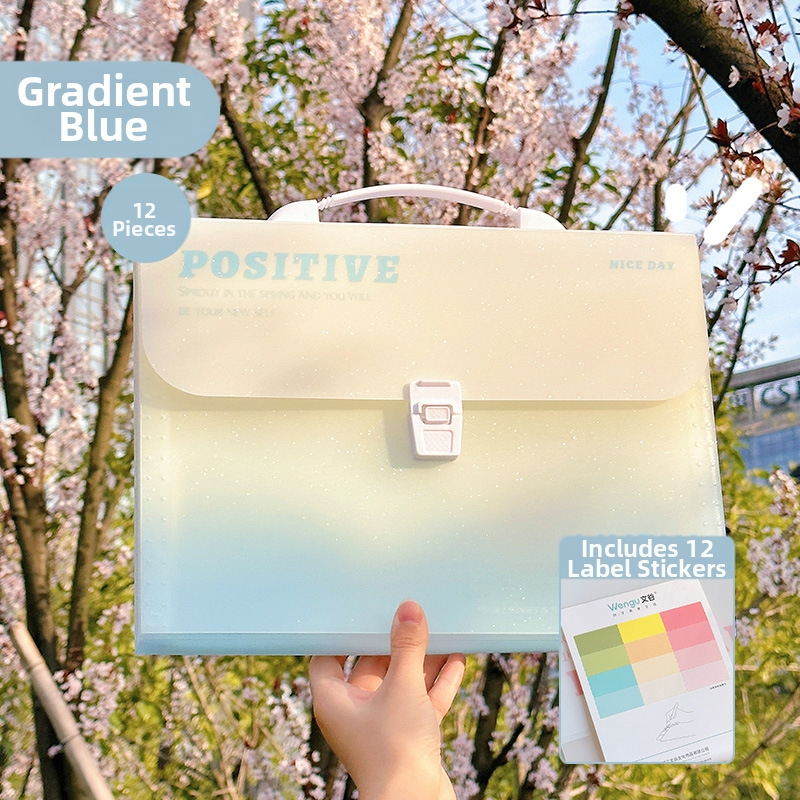 Zi Yi 12 priehradkami PP materiálu, zvislý akordeónový dizajn, model ZL30372