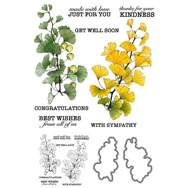 Šablona za rezanje s dizajnom lista ginka, matrica od karbonskog čelika, silikonni pečat za reljef i graviranje