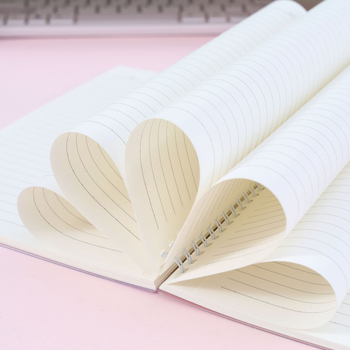 Bilježnica sa spiralnim povezom u sladkom karikaturnom stilu; 80 listova / 160 stranica; papir 80 gsm; prilagodljivo