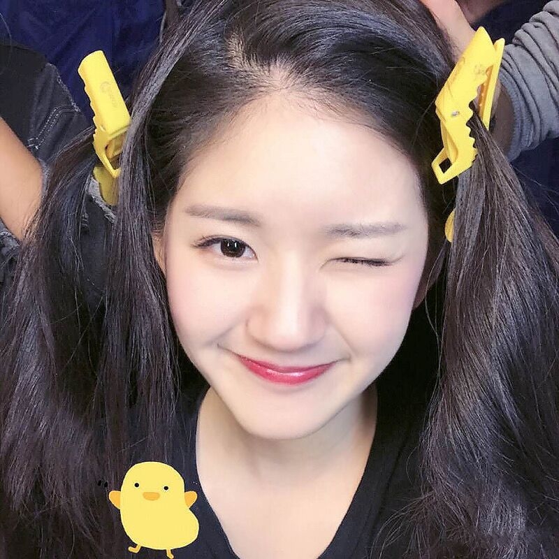 Clip de păr tip duckbill, handmade, din plastic/rășină, pentru femei, stil proaspăt și dulce