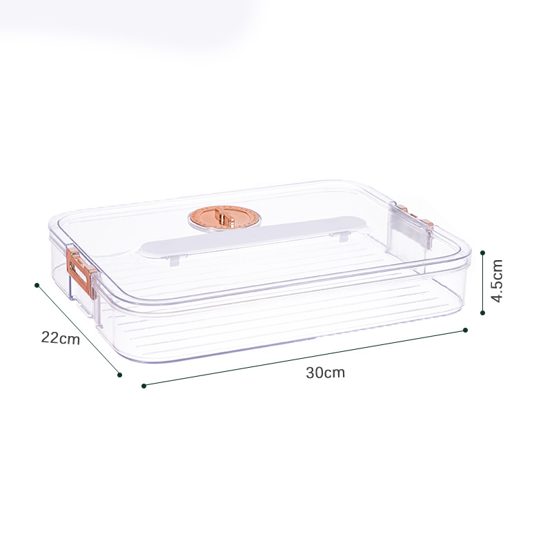 Kutija za knedle s kineskim dizajnom, plastika za hranu, skladištenje i očuvanje svježine