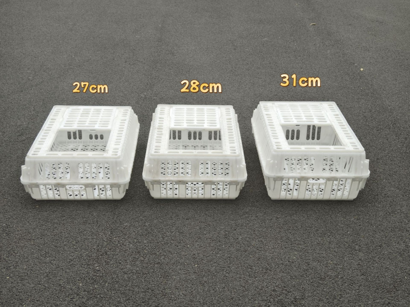 HDPE κιβώτιο μεταφοράς πτηνών για μεταφορά ζωντανών πτηνών, υψηλής αντοχής, με εκτυπωμένο λογότυπο, βάρος 5 kg