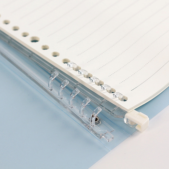 Caiet cu foi detașabile, 10 găuri, format A5, hârtie Dowling, 30 de foi, Model 8