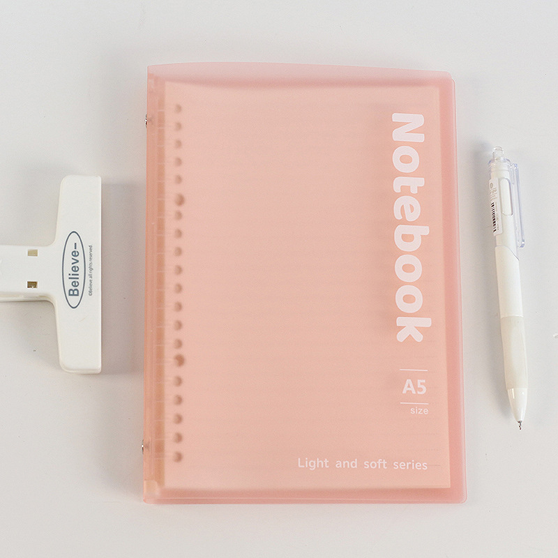 Caiet cu foi detașabile, 10 găuri, format A5, hârtie Dowling, 30 de foi, Model 8