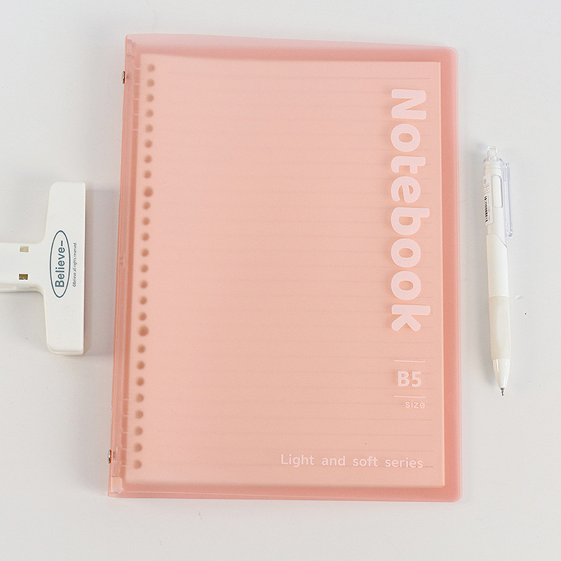 Caiet cu foi detașabile, 10 găuri, format A5, hârtie Dowling, 30 de foi, Model 8