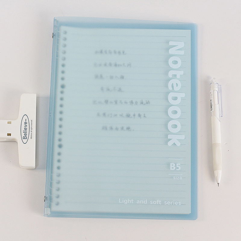 Caiet cu foi detașabile, 10 găuri, format A5, hârtie Dowling, 30 de foi, Model 8