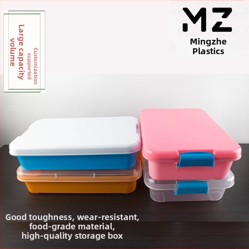 Ορθογώνιο PP πλαστικό δοχείο αποθήκευσης με καπάκι - προσαρμόσιμο, εκτύπωση λογότυπου