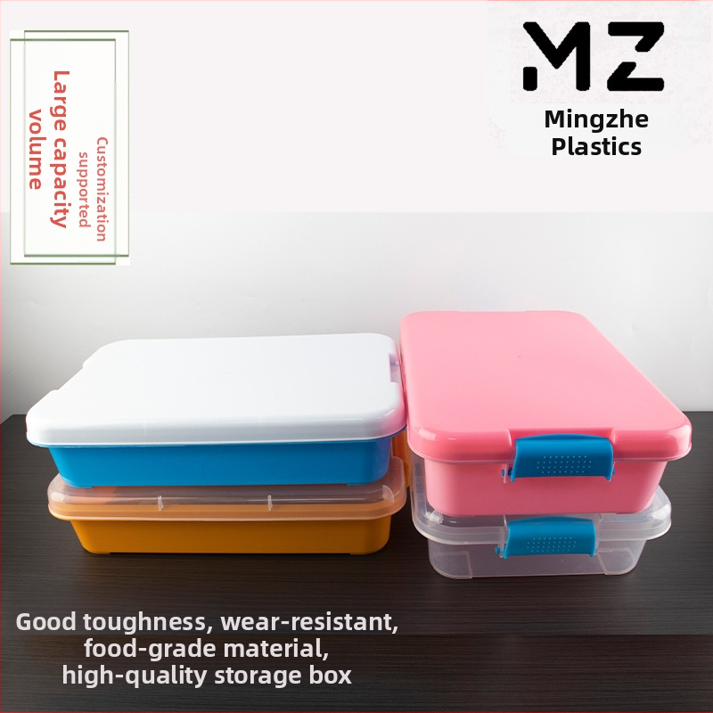 Ορθογώνιο PP πλαστικό δοχείο αποθήκευσης με καπάκι - προσαρμόσιμο, εκτύπωση λογότυπου