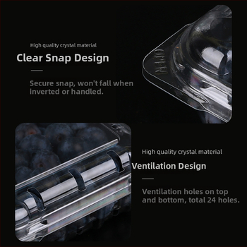 Κουτί συσκευασίας φρούτων μιας χρήσης από PET με οπές και καπάκι, χωρητικότητα 125 g