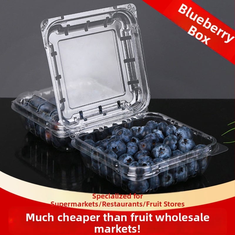 Κουτί συσκευασίας φρούτων μιας χρήσης από PET με οπές και καπάκι, χωρητικότητα 125 g