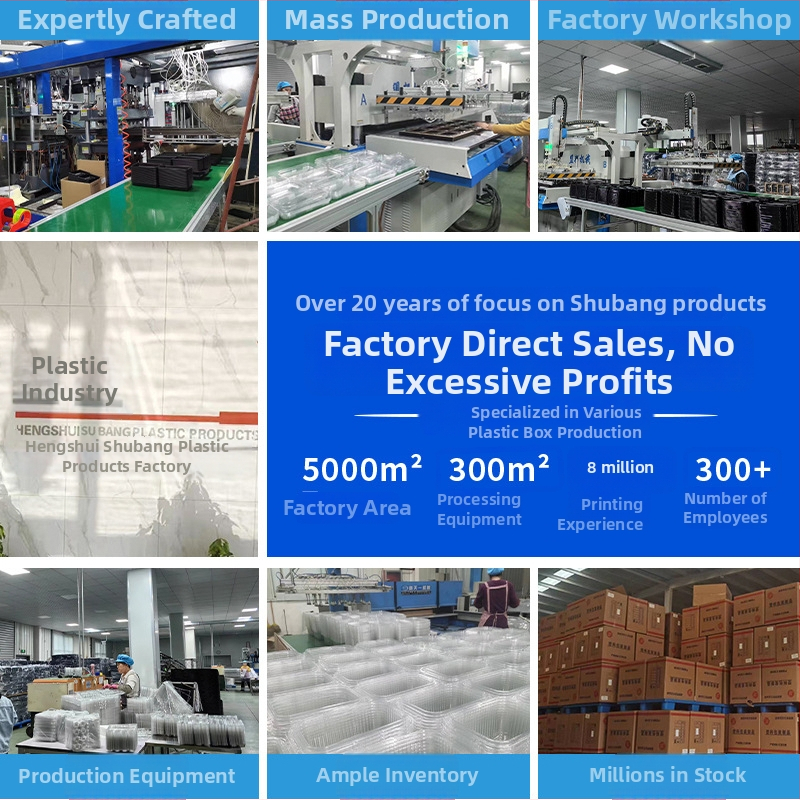 Κουτί συσκευασίας φρούτων μιας χρήσης από PET με οπές και καπάκι, χωρητικότητα 125 g