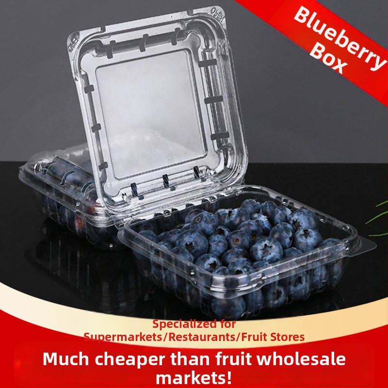 Κουτί συσκευασίας φρούτων μιας χρήσης από PET με οπές και καπάκι, χωρητικότητα 125 g