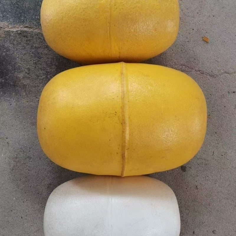 Bilă plutitoare din spumă pentru acvacultură, cadru plutitor cu plasă, ultra-ușoară, cu plute mari - Brand: Fishing Star; Material: Other