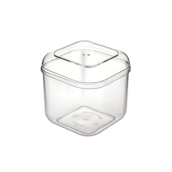 Jednokratna četvrtasta posuda za desert s poklopcem, PS plast, injekcijsko oblikovana, prilagodljiva, opća ambalaža