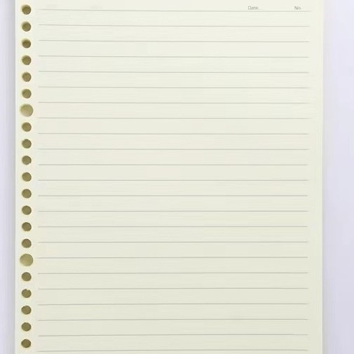 B5 odvijački bilježnica s linijama, zamjenjive stranice i prozirni dokument binder s preklopnim stranicama