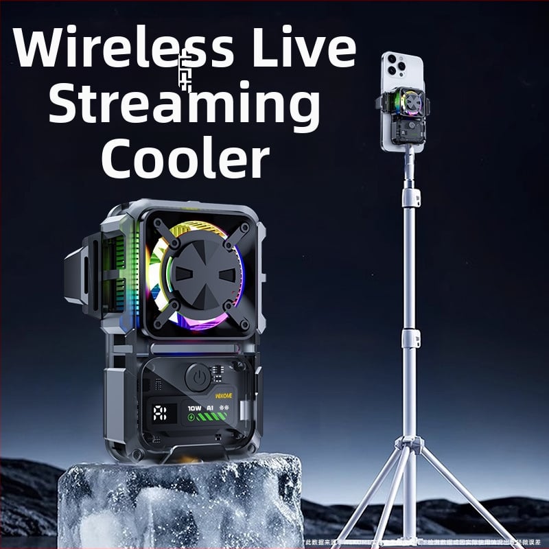 Bezdrôtový chladič na mobilný telefón s termoelektrickým chladením, DL23, 15W, Type-C, 124 g, plast