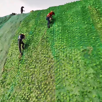 Slijed zaštita zelene mreže – Zelena mreža lišća, niskougljična čelična žica, Chang Sheng