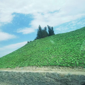 Slijed zaštita zelene mreže – Zelena mreža lišća, niskougljična čelična žica, Chang Sheng