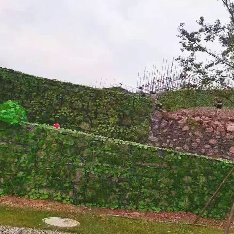 Slijed zaštita zelene mreže – Zelena mreža lišća, niskougljična čelična žica, Chang Sheng