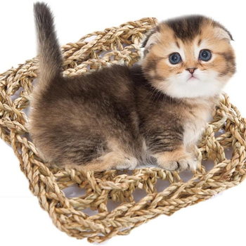 Играчка за птици: мрежа за катерене за папагали, ръчно плетен хамак от трева (Материал: трева; Категория: слама; Производство: ръчно; Занаят: друго)