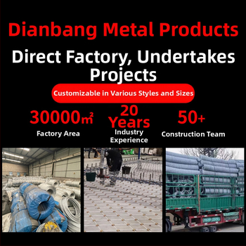 Dianbang Δίκτυο Προστασίας Πλάγων με Ενεργό και Ευέλικτο Σχέδιο για Παρεμπόδιση Πτώσεων Πετρών (Δίκτυο από Ατσάλινο Καλώδιο)