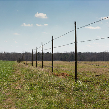 Melegen galvanizált acélhálós háló, dupla csavarással, Siro-stílusú elrendezés, jobbkezes tekerés, testreszabható húzószilárdság biztonsági kerítéshez