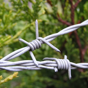 Γαλβανισμένο υψηλής αντοχής πλέγμα αγκαθωτής συρμάτινης με λεπίδες για φράχτες, για οπωρώνες και εκτάσεις, μήκος κατόπιν παραγγελίας, τάση εφελκυσμού κατά παραγγελία, χρήση κατά παραγγελίας, μάρκα Lianxin