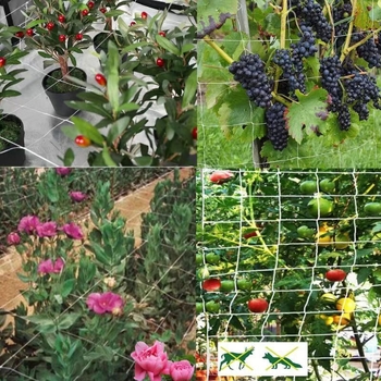 Poliesterska mreža kvadratnog uzorka za vrtne penjače biljke, mreža potpore za penjačko cvijeće