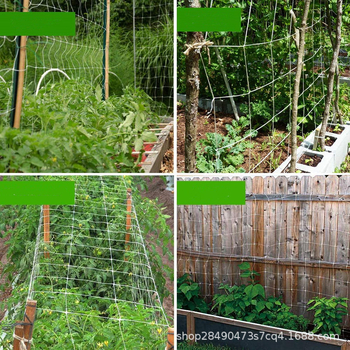 Plasă pentru viță de vie - plasă țesută din poliester pentru susținerea plantelor în grădină și fermă