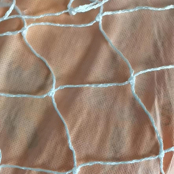 Δίκτυο κοντέινερ Huasheng, για κλειστά οχήματα, πλοία και κοντέινερ