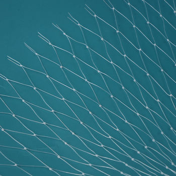 Plasă din nailon anti-păsări pentru livezi și iazuri de pește, plasă de protecție agricolă, ochiuri 2.0–2.5 mm, diametru fir 0.38 mm, durată de viață 5–6 ani