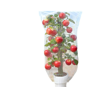 Plasă de protecție împotriva dăunătorilor pentru pomi fructiferi – plasă plastică de protecție (Insect Net 01)