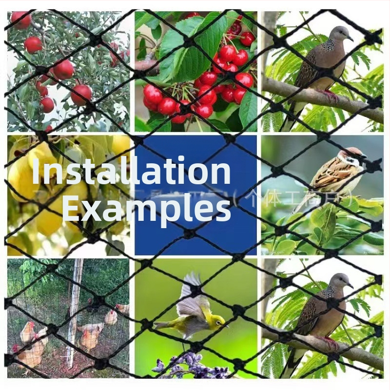 Zaštitna mreža za voćnjak od poliester vlakana, pletena mreža, 0,11 mm žica, zaštita od ptica