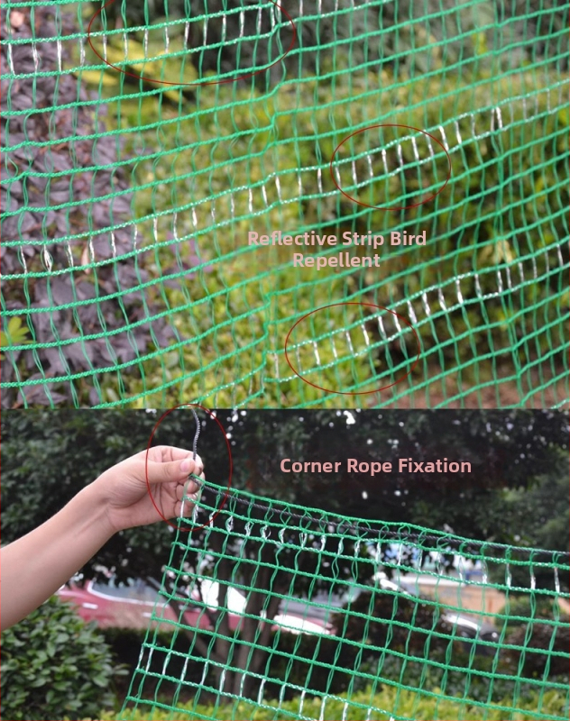 Mreža protiv ptica za voćke, PE materijal, funkcija: protiv ptica, specifikacije: 2, ovlaštene privatne marke: Da